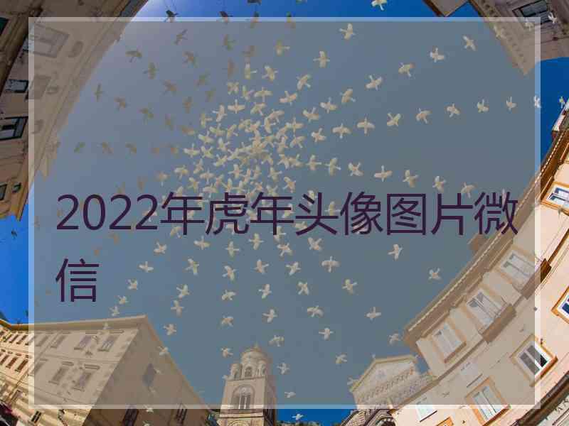 2022年虎年头像图片微信