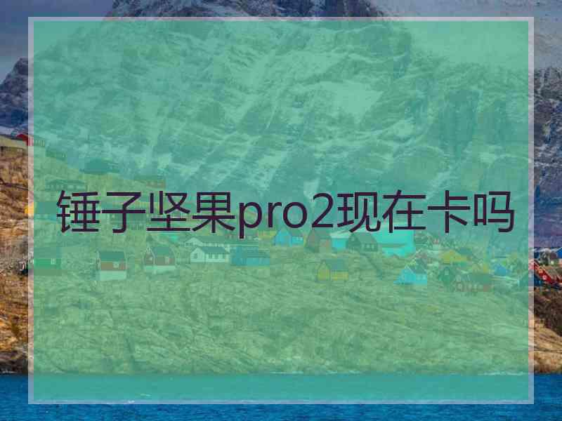 锤子坚果pro2现在卡吗