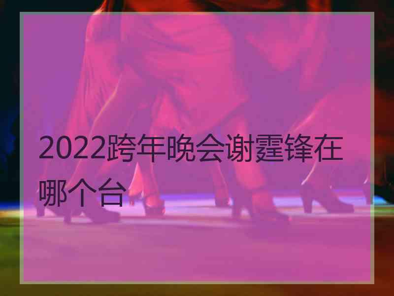 2022跨年晚会谢霆锋在哪个台