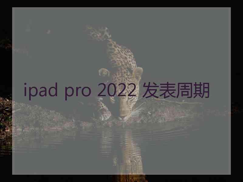 ipad pro 2022 发表周期