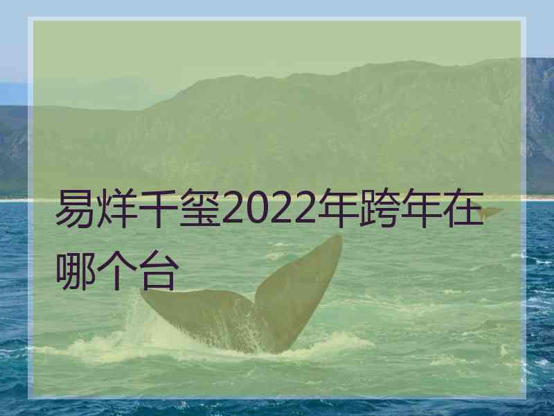 易烊千玺2022年跨年在哪个台