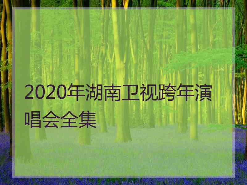 2020年湖南卫视跨年演唱会全集