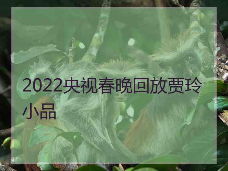 2022央视春晚回放贾玲小品