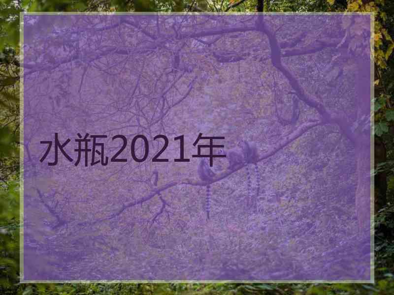 水瓶2021年