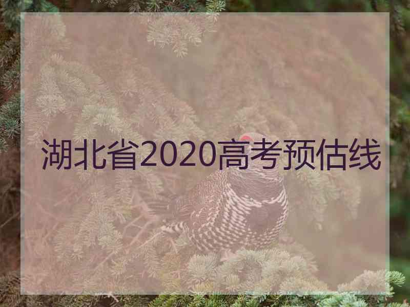 湖北省2020高考预估线