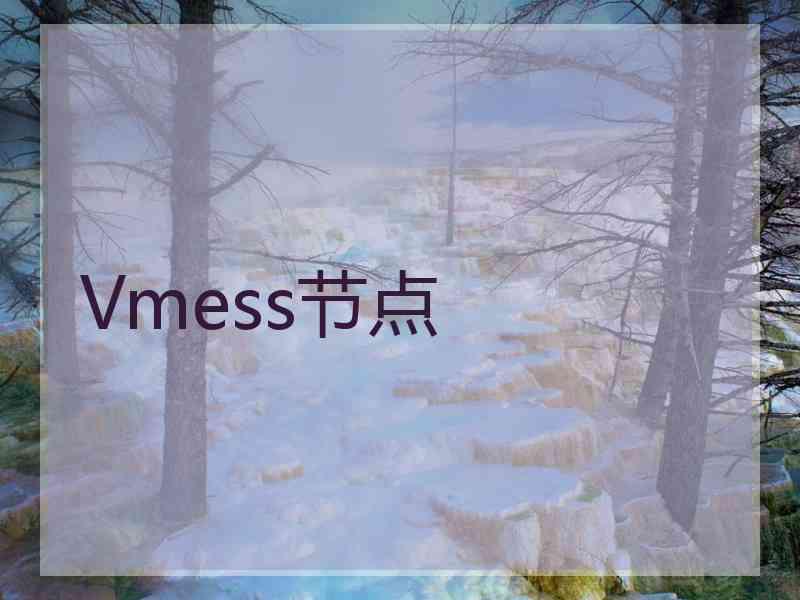 Vmess节点