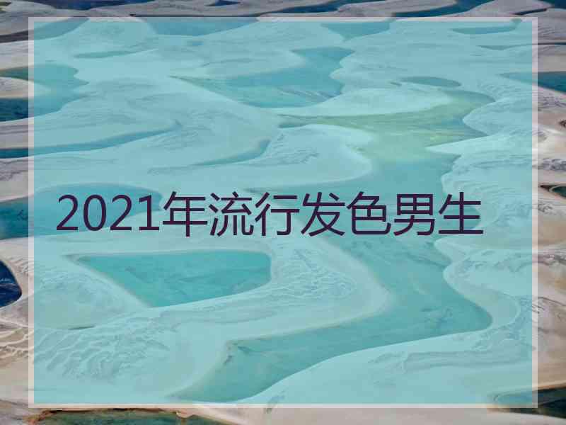 2021年流行发色男生