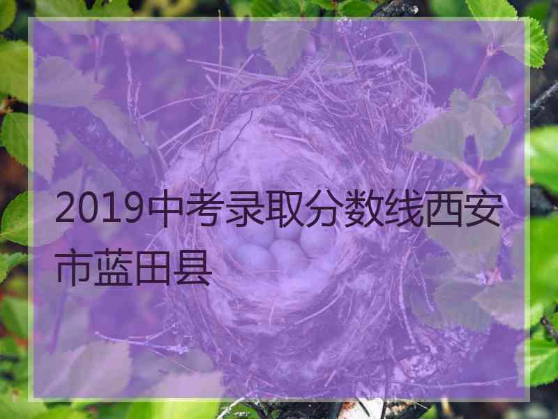 2019中考录取分数线西安市蓝田县