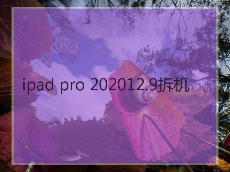 ipad pro 202012.9拆机