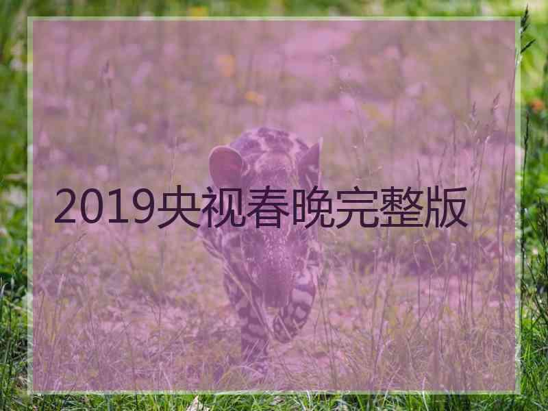 2019央视春晚完整版