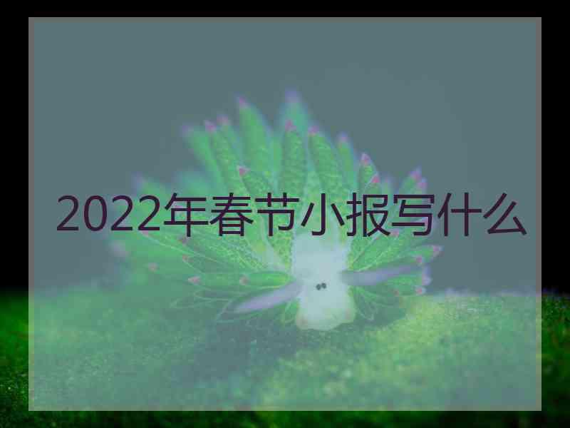 2022年春节小报写什么