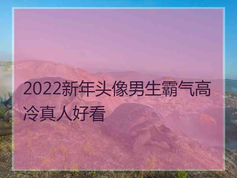 2022新年头像男生霸气高冷真人好看