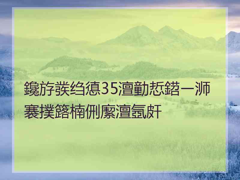 鑱斿彂绉憄35澶勭悊鍣ㄧ浉褰撲簬楠侀緳澶氬皯