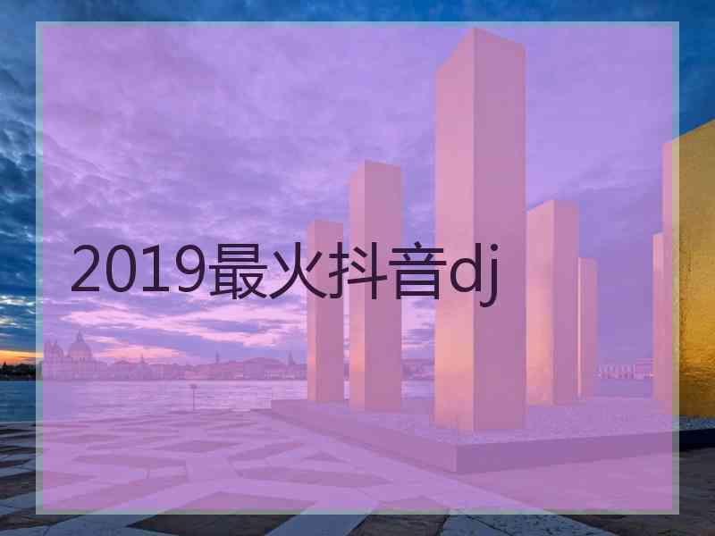 2019最火抖音dj