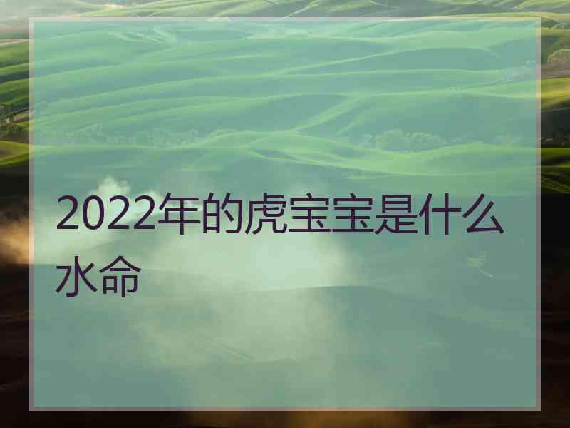 2022年的虎宝宝是什么水命