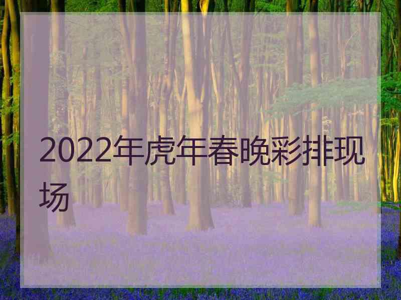 2022年虎年春晚彩排现场