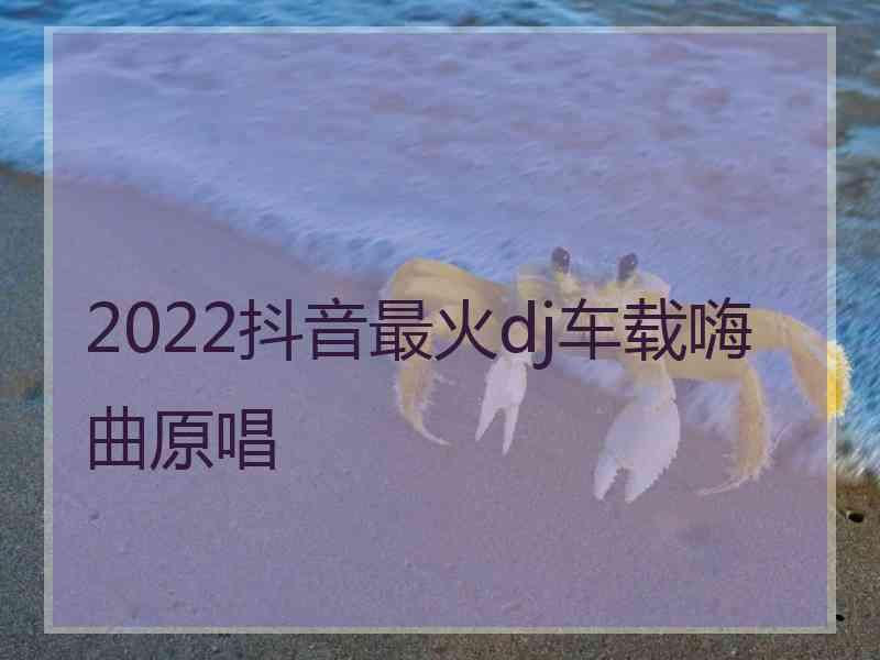 2022抖音最火dj车载嗨曲原唱