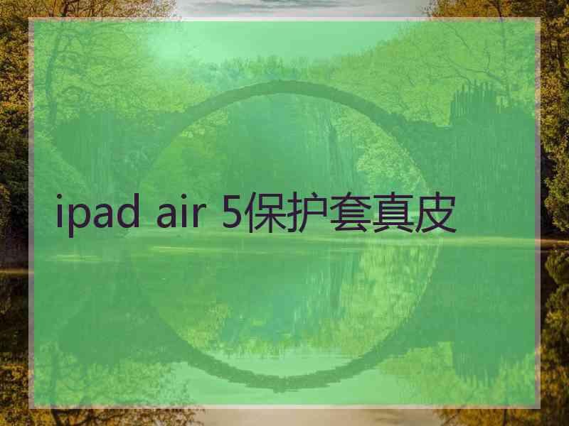 ipad air 5保护套真皮