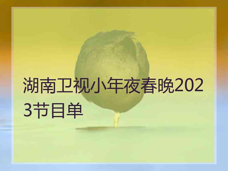 湖南卫视小年夜春晚2023节目单