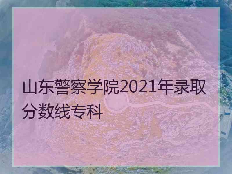 山东警察学院2021年录取分数线专科