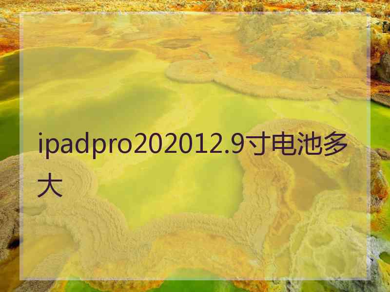 ipadpro202012.9寸电池多大