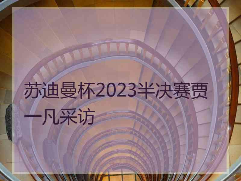 苏迪曼杯2023半决赛贾一凡采访