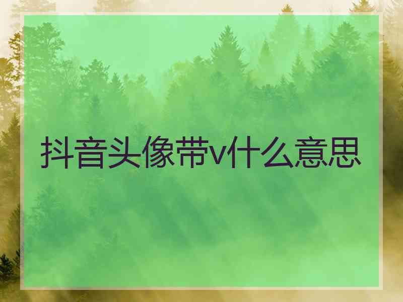 抖音头像带v什么意思