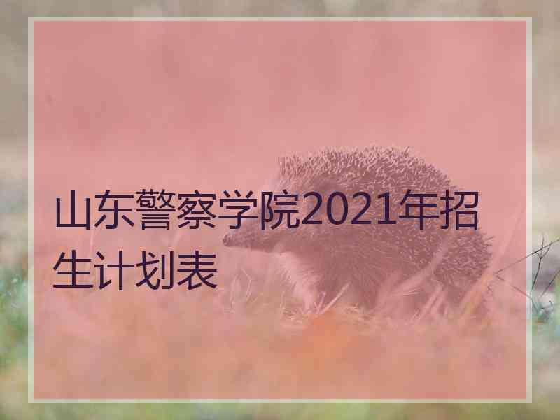 山东警察学院2021年招生计划表