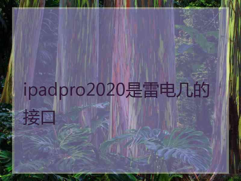 ipadpro2020是雷电几的接口