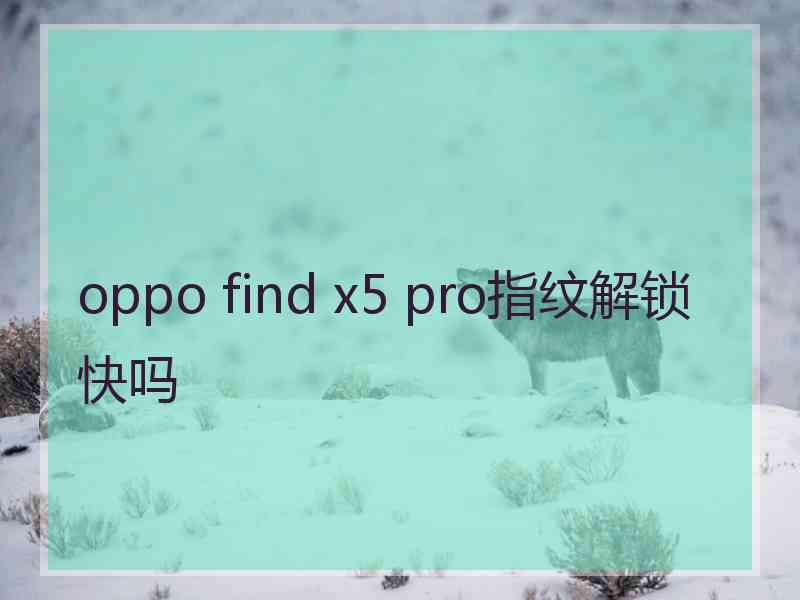 oppo find x5 pro指纹解锁快吗