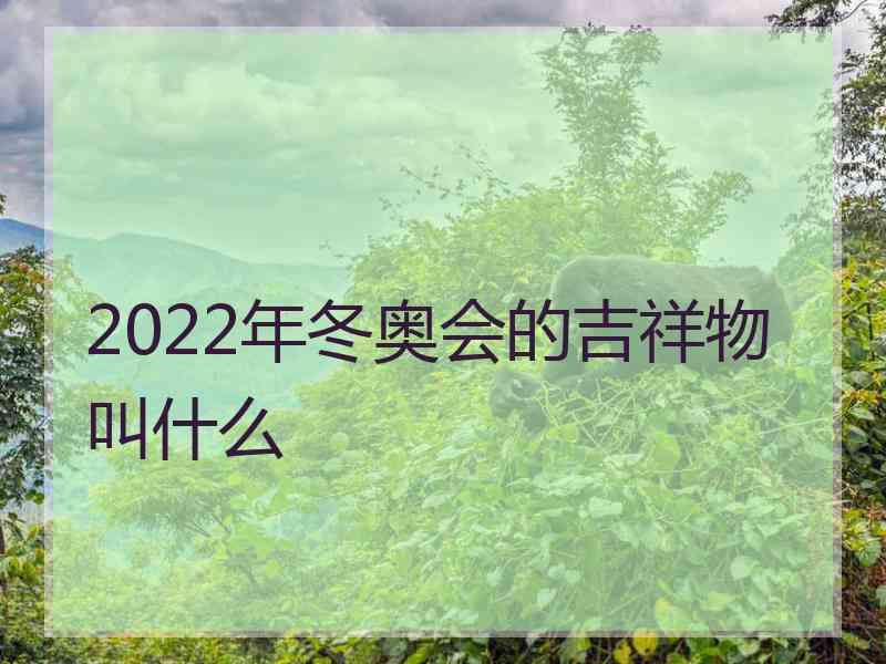 2022年冬奥会的吉祥物叫什么