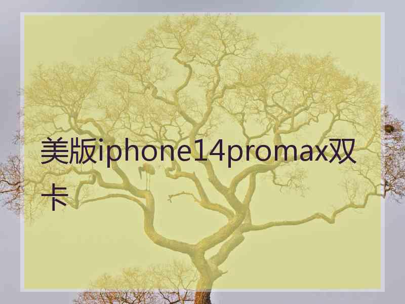 美版iphone14promax双卡