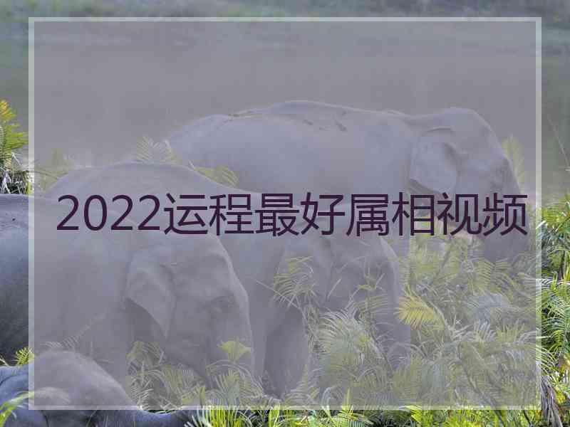 2022运程最好属相视频