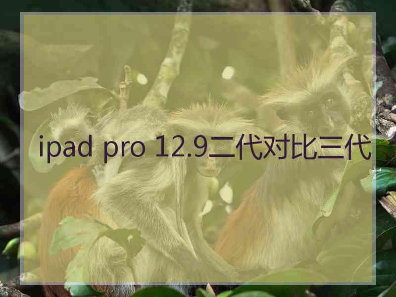 ipad pro 12.9二代对比三代