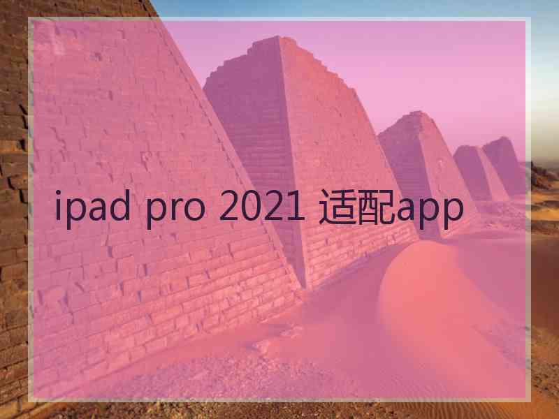 ipad pro 2021 适配app