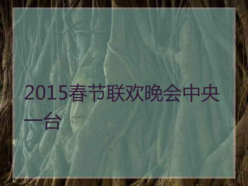 2015春节联欢晚会中央一台