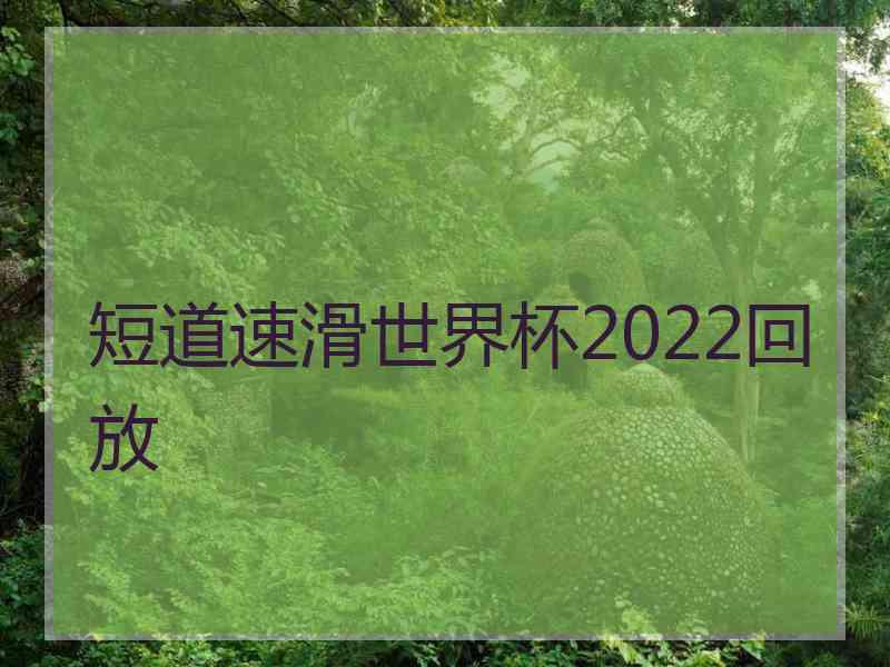 短道速滑世界杯2022回放