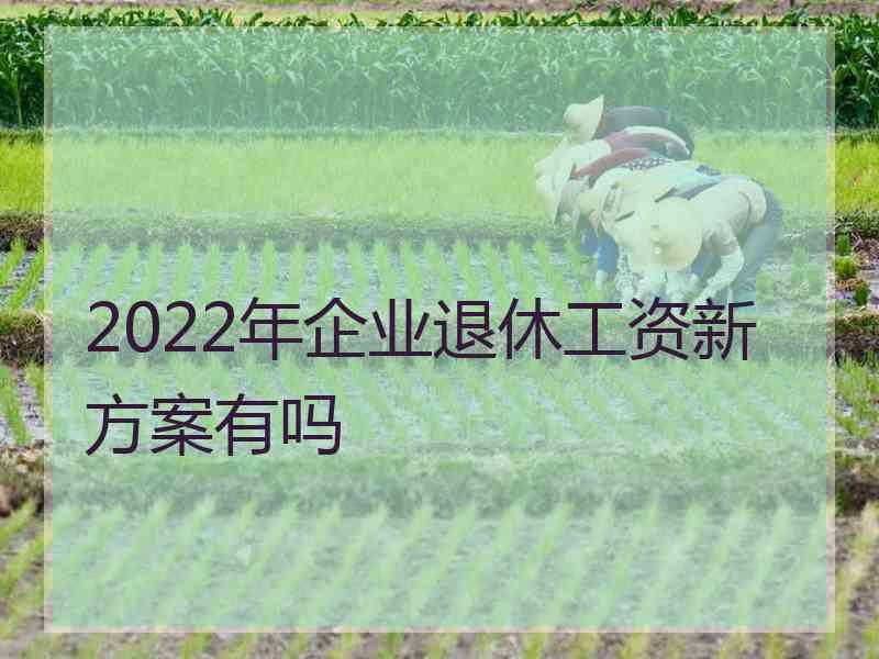 2022年企业退休工资新方案有吗