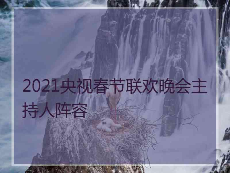 2021央视春节联欢晚会主持人阵容