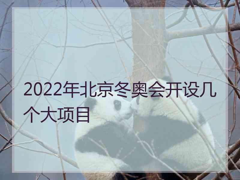 2022年北京冬奥会开设几个大项目