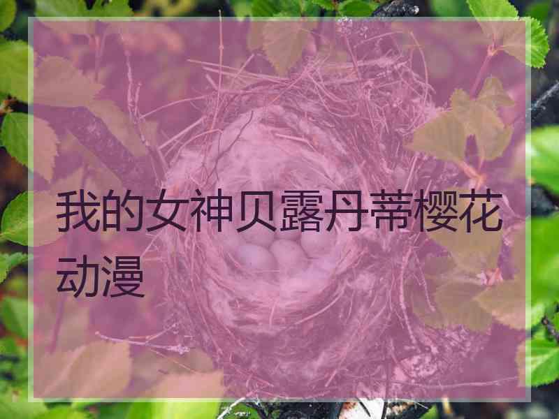 我的女神贝露丹蒂樱花动漫