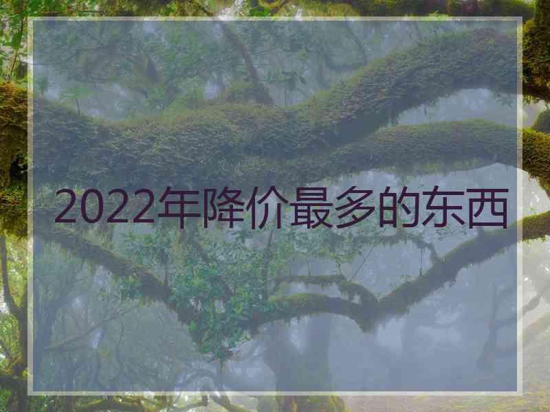 2022年降价最多的东西