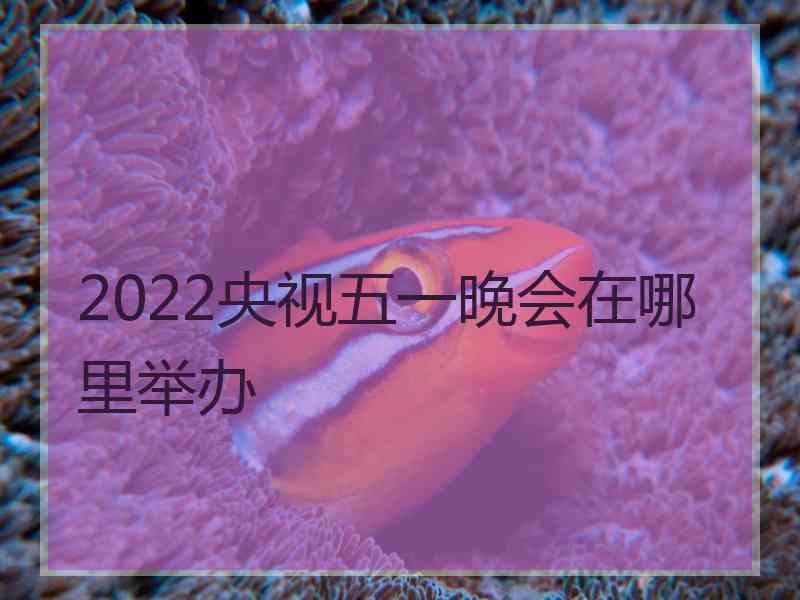 2022央视五一晚会在哪里举办