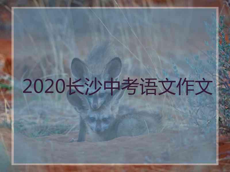 2020长沙中考语文作文