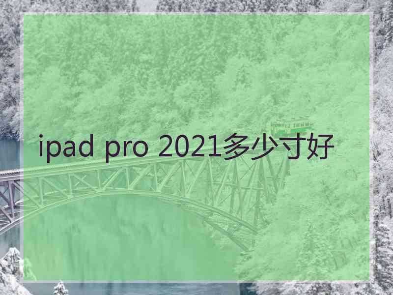 ipad pro 2021多少寸好