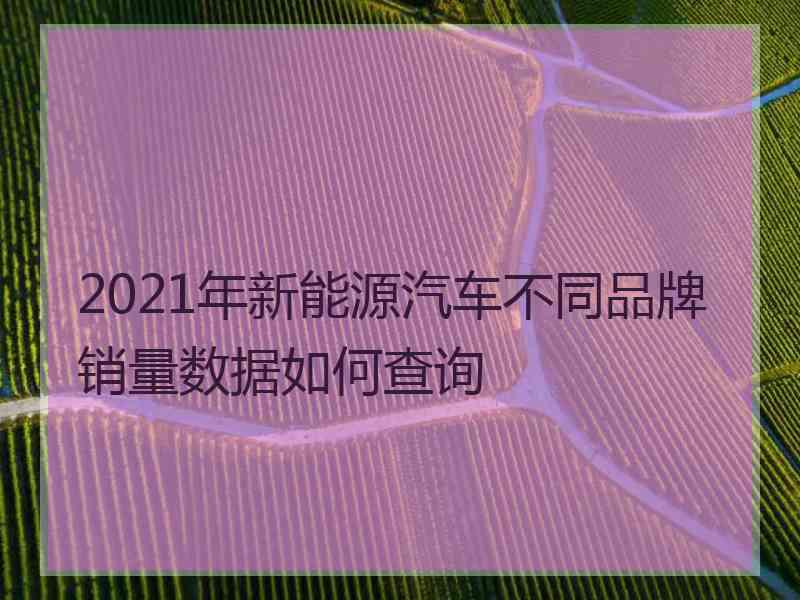 2021年新能源汽车不同品牌销量数据如何查询