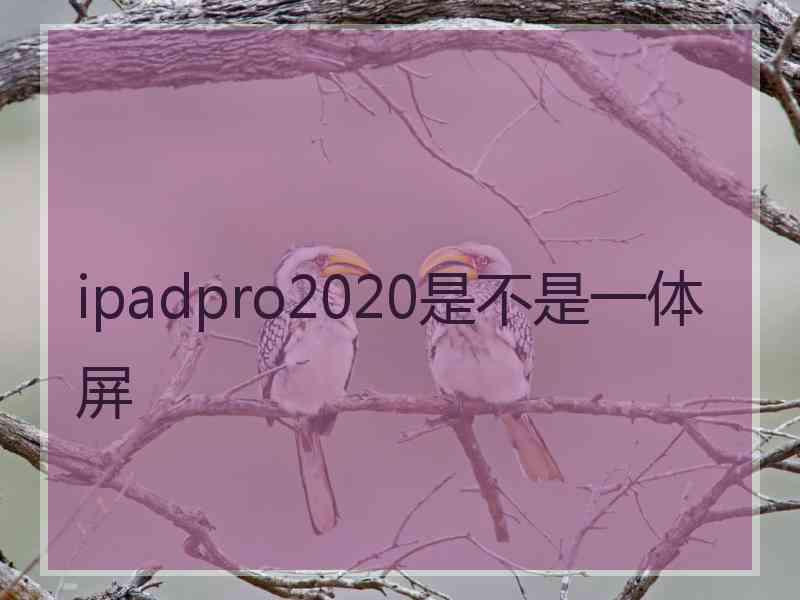 ipadpro2020是不是一体屏