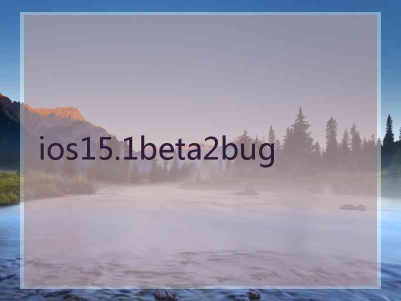 ios15.1beta2bug