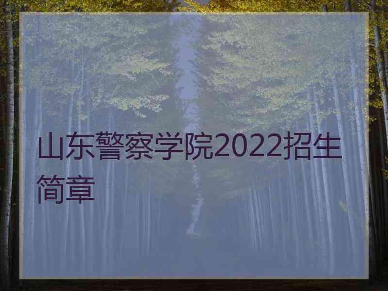 山东警察学院2022招生简章