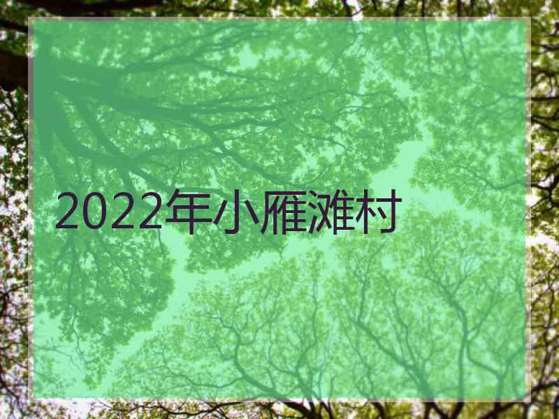 2022年小雁滩村